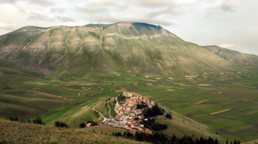 Thoranai