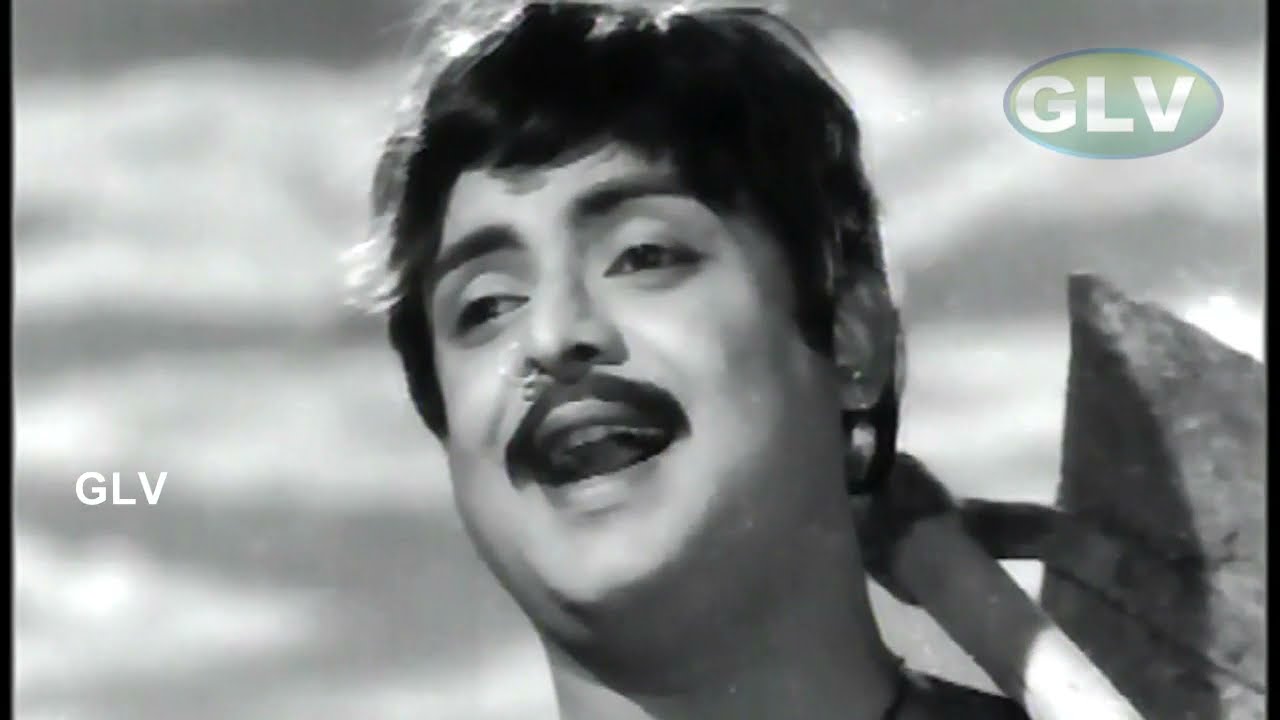 Kothumalli Poo Pookka