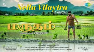 Nellu Vilayira